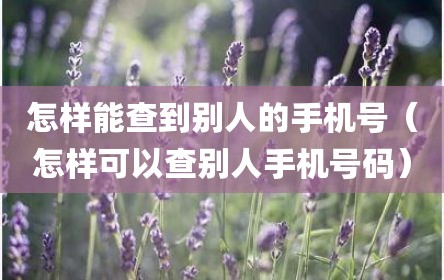 怎样能查到别人的手机号（怎样可以查别人手机号码）