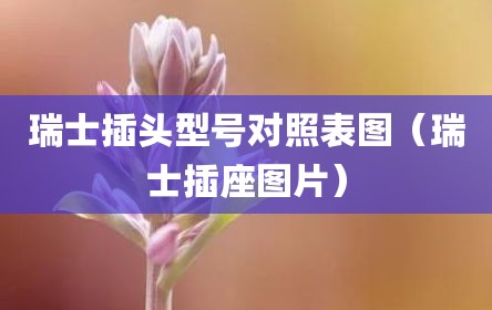 瑞士插头型号对照表图（瑞士插座图片）