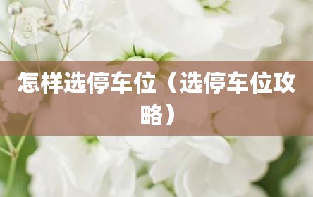 怎样选停车位（选停车位攻略）