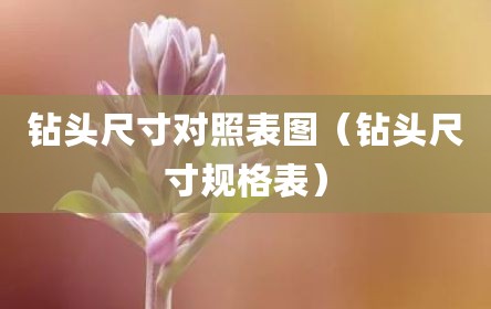 钻头尺寸对照表图（钻头尺寸规格表）