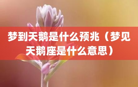 梦到天鹅是什么预兆（梦见天鹅座是什么意思）