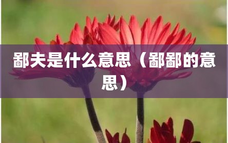 鄙夫是什么意思（鄙鄙的意思）