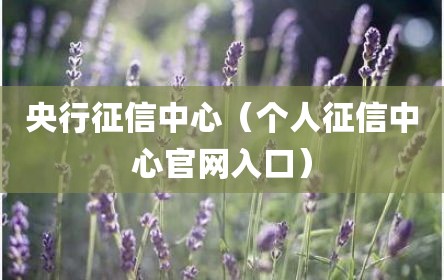 央行征信中心（个人征信中心官网入口）