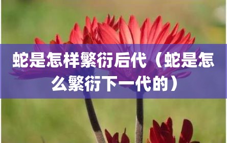 蛇是怎样繁衍后代（蛇是怎么繁衍下一代的）