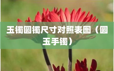 玉镯圆镯尺寸对照表图（圆玉手镯）