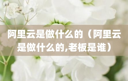 阿里云是做什么的（阿里云是做什么的,老板是谁）