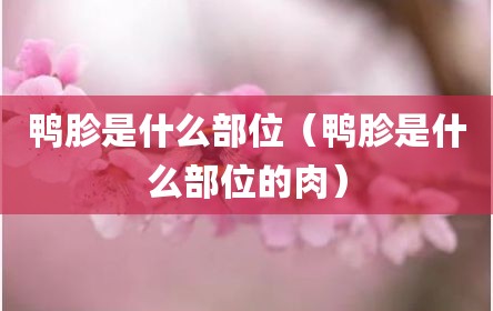 鸭胗是什么部位（鸭胗是什么部位的肉）