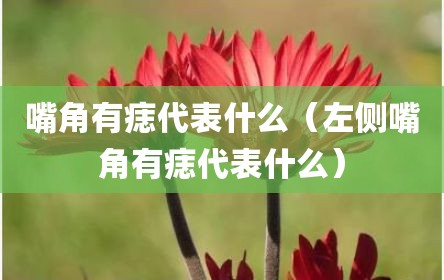 嘴角有痣代表什么（左侧嘴角有痣代表什么）