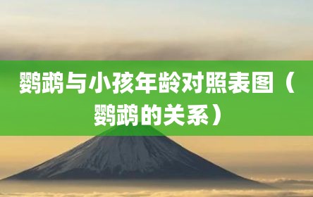 鹦鹉与小孩年龄对照表图（鹦鹉的关系）