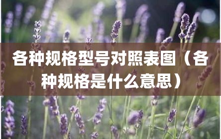 各种规格型号对照表图（各种规格是什么意思）