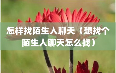 怎样找陌生人聊天（想找个陌生人聊天怎么找）