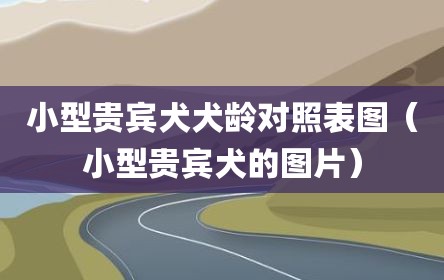 小型贵宾犬犬龄对照表图（小型贵宾犬的图片）
