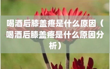 喝酒后膝盖疼是什么原因（喝酒后膝盖疼是什么原因分析）