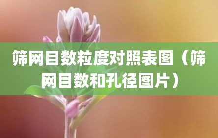 筛网目数粒度对照表图（筛网目数和孔径图片）