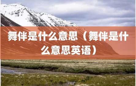 舞伴是什么意思（舞伴是什么意思英语）