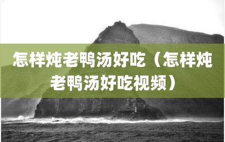 怎样炖老鸭汤好吃（怎样炖老鸭汤好吃视频）