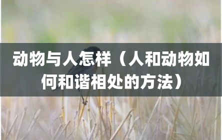动物与人怎样（人和动物如何和谐相处的方法）