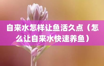 自来水怎样让鱼活久点（怎么让自来水快速养鱼）