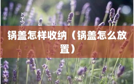锅盖怎样收纳（锅盖怎么放置）