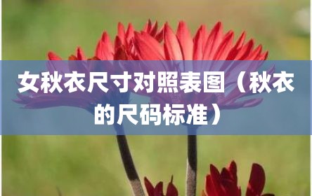 女秋衣尺寸对照表图（秋衣的尺码标准）