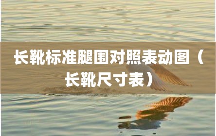 长靴标准腿围对照表动图（长靴尺寸表）