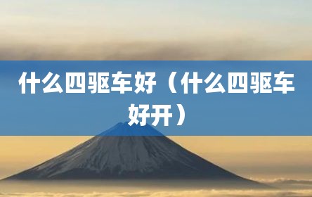 什么四驱车好（什么四驱车好开）