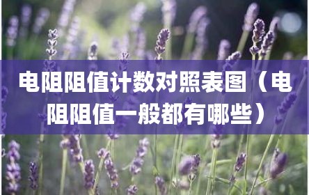 电阻阻值计数对照表图（电阻阻值一般都有哪些）