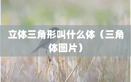 立体三角形叫什么体（三角体图片）