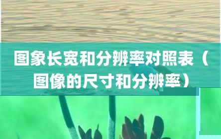 图象长宽和分辨率对照表（图像的尺寸和分辨率）