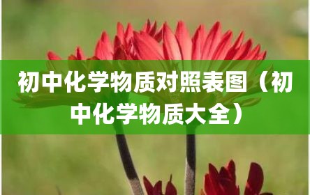 初中化学物质对照表图（初中化学物质大全）