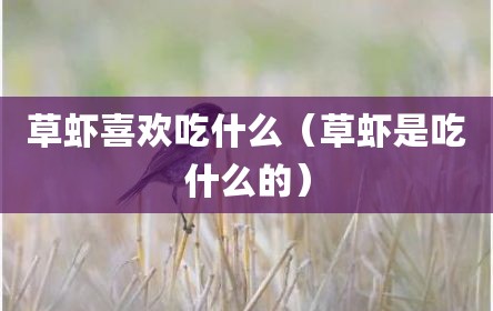 草虾喜欢吃什么（草虾是吃什么的）