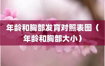 年龄和胸部发育对照表图（年龄和胸部大小）