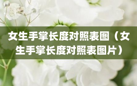 女生手掌长度对照表图（女生手掌长度对照表图片）