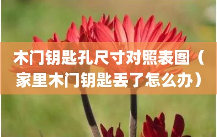 木门钥匙孔尺寸对照表图（家里木门钥匙丢了怎么办）