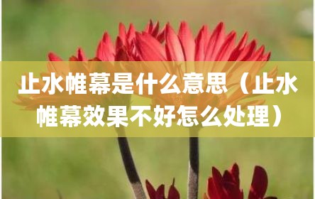 止水帷幕是什么意思（止水帷幕效果不好怎么处理）