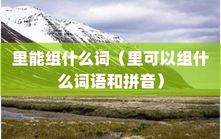 里能组什么词（里可以组什么词语和拼音）