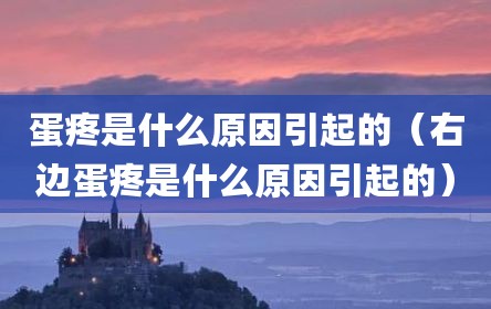 蛋疼是什么原因引起的（右边蛋疼是什么原因引起的）