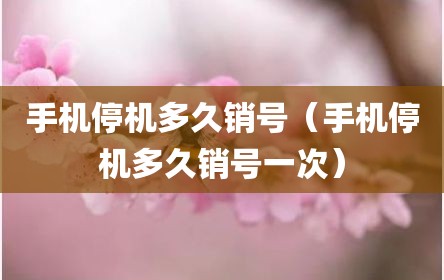 手机停机多久销号（手机停机多久销号一次）