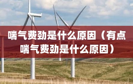 喘气费劲是什么原因（有点喘气费劲是什么原因）