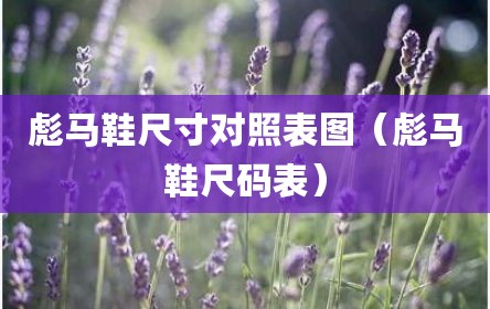 彪马鞋尺寸对照表图（彪马鞋尺码表）