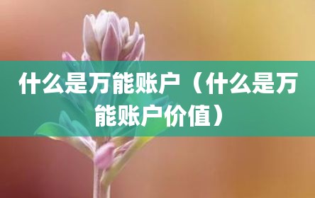 什么是万能账户（什么是万能账户价值）