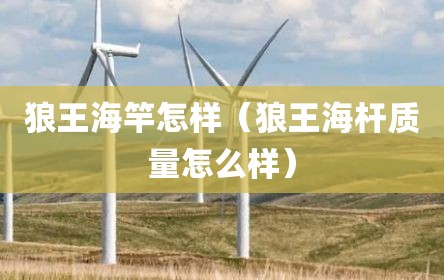 狼王海竿怎样（狼王海杆质量怎么样）