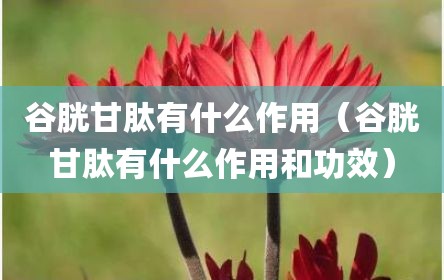 谷胱甘肽有什么作用（谷胱甘肽有什么作用和功效）
