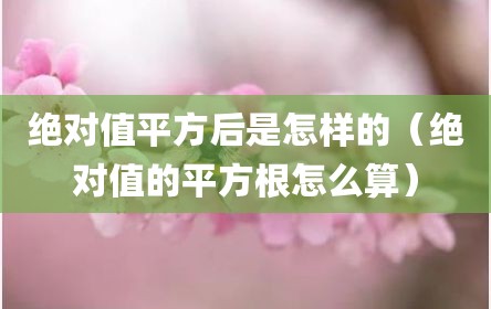 绝对值平方后是怎样的（绝对值的平方根怎么算）