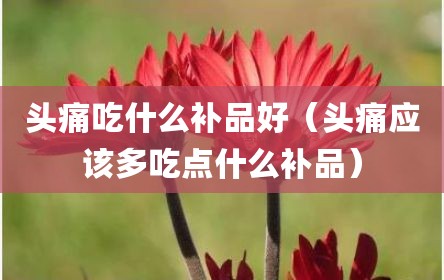 头痛吃什么补品好（头痛应该多吃点什么补品）