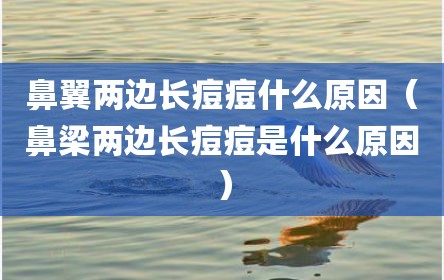 鼻翼两边长痘痘什么原因（鼻梁两边长痘痘是什么原因）