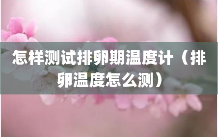 怎样测试排卵期温度计（排卵温度怎么测）