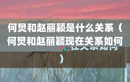 何炅和赵丽颖是什么关系（何炅和赵丽颖现在关系如何）