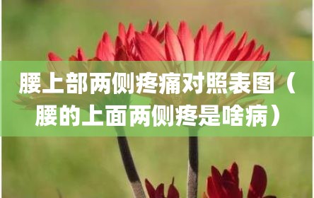 腰上部两侧疼痛对照表图（腰的上面两侧疼是啥病）