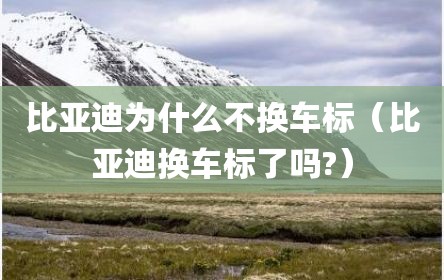 比亚迪为什么不换车标（比亚迪换车标了吗?）